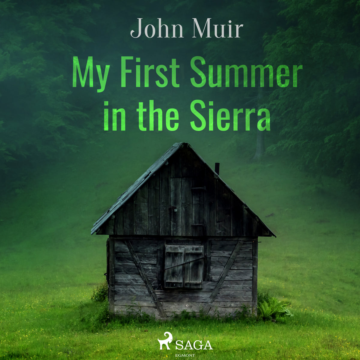 My First Summer in the Sierra – Ljudbok
