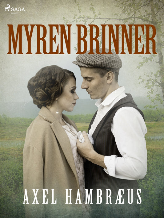Myren brinner – E-bok