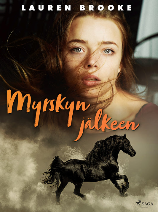 Myrskyn jälkeen – E-bok
