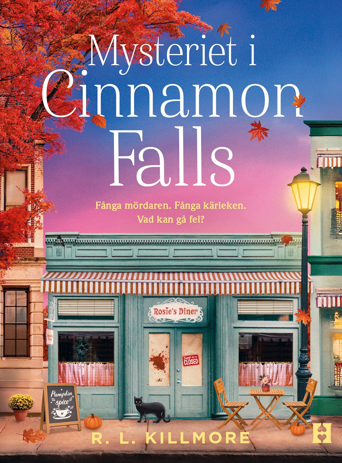 Mysteriet i Cinnamon Falls – E-bok