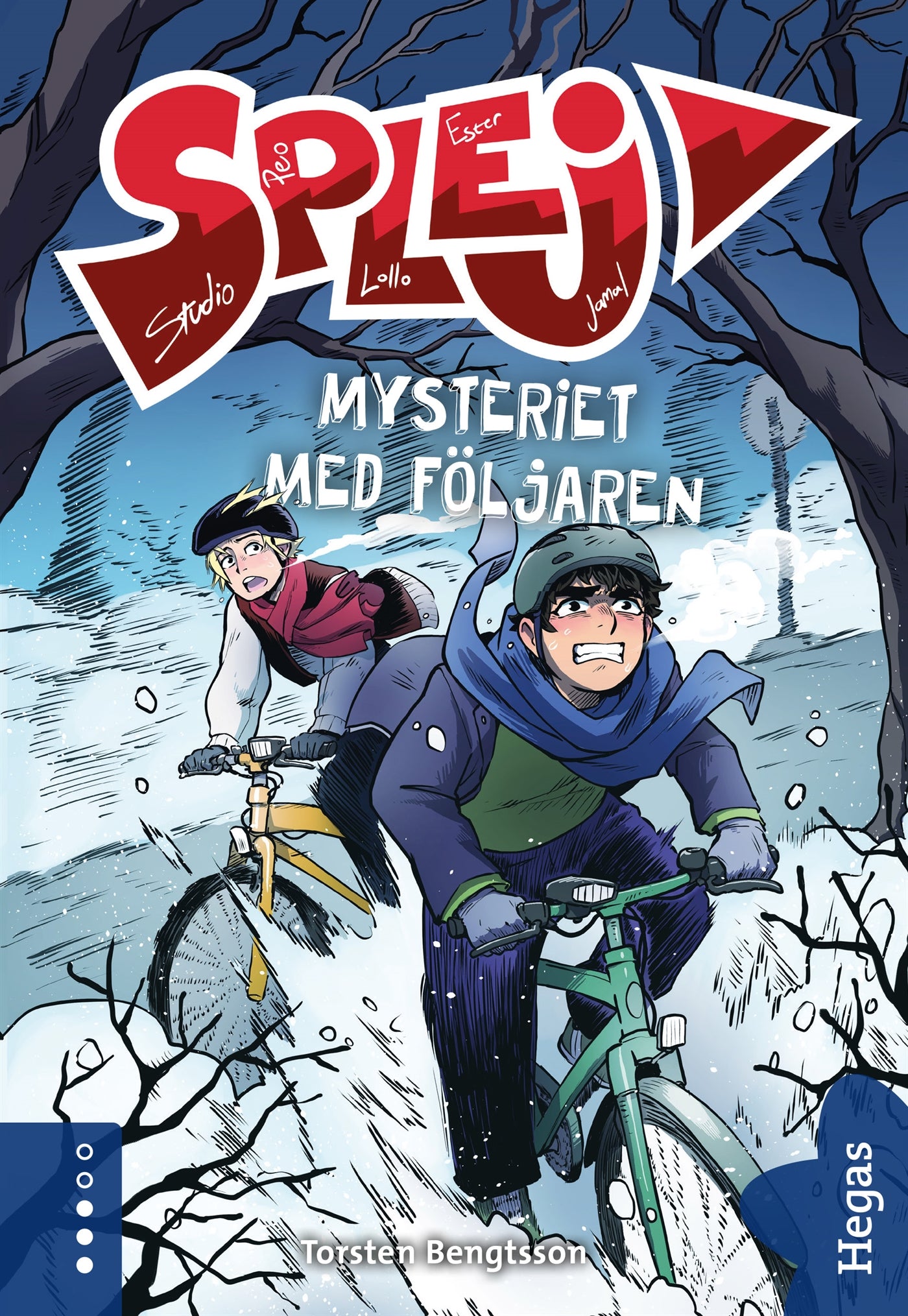 Mysteriet med följaren – E-bok