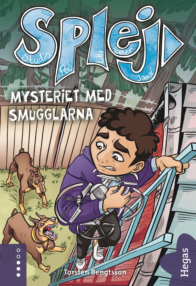 Mysteriet med smugglarna – E-bok