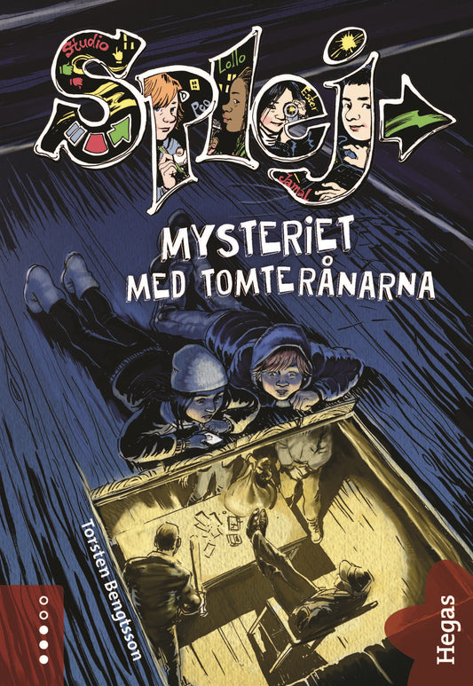 Mysteriet med tomterånarna – E-bok