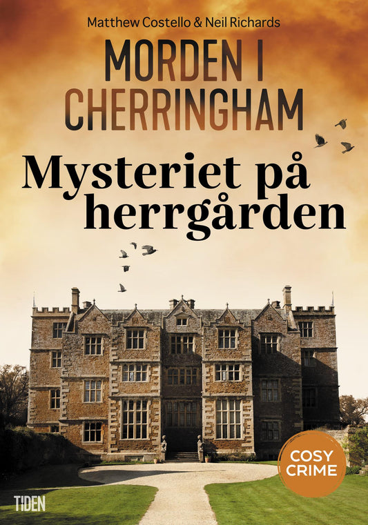 Mysteriet på herrgården – E-bok