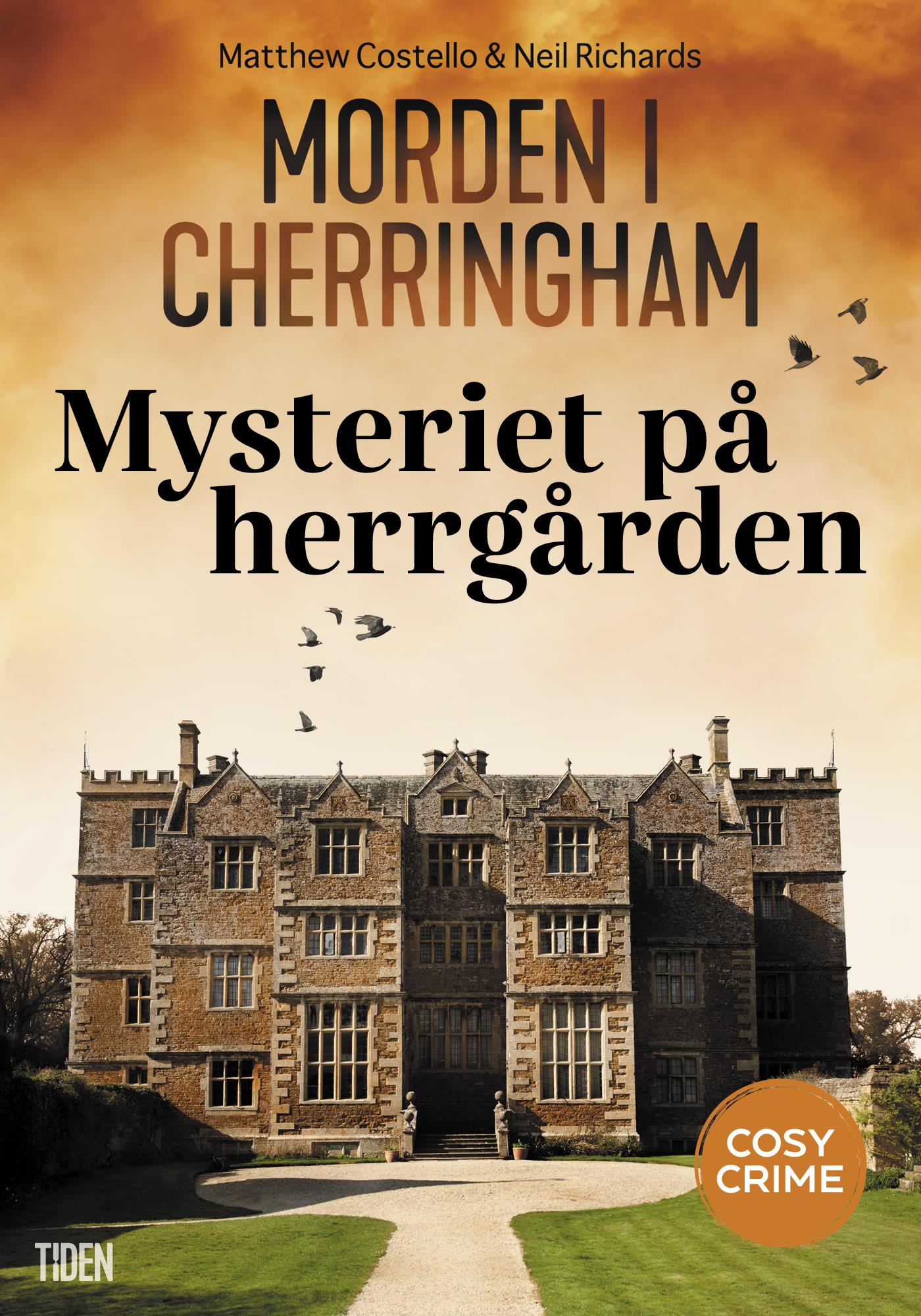 Mysteriet på herrgården – E-bok