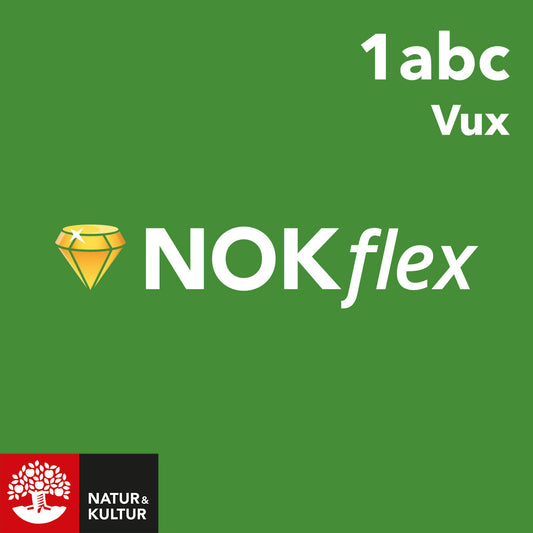 NOKflex Matematik 1abc Vux