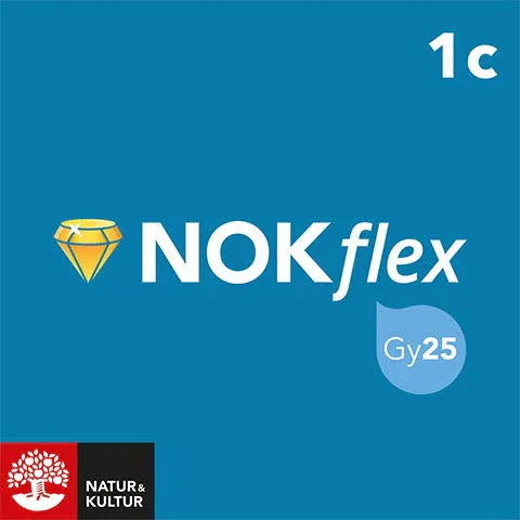 NOKflex Matematik Nivå 1c