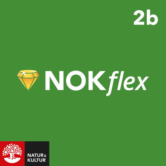 NOKflex Matematik Nivå 2b (kurs 2b)