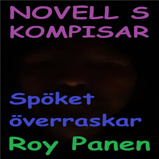 NOVELLER S KOMPISAR Spöket överraskar – Ljudbok