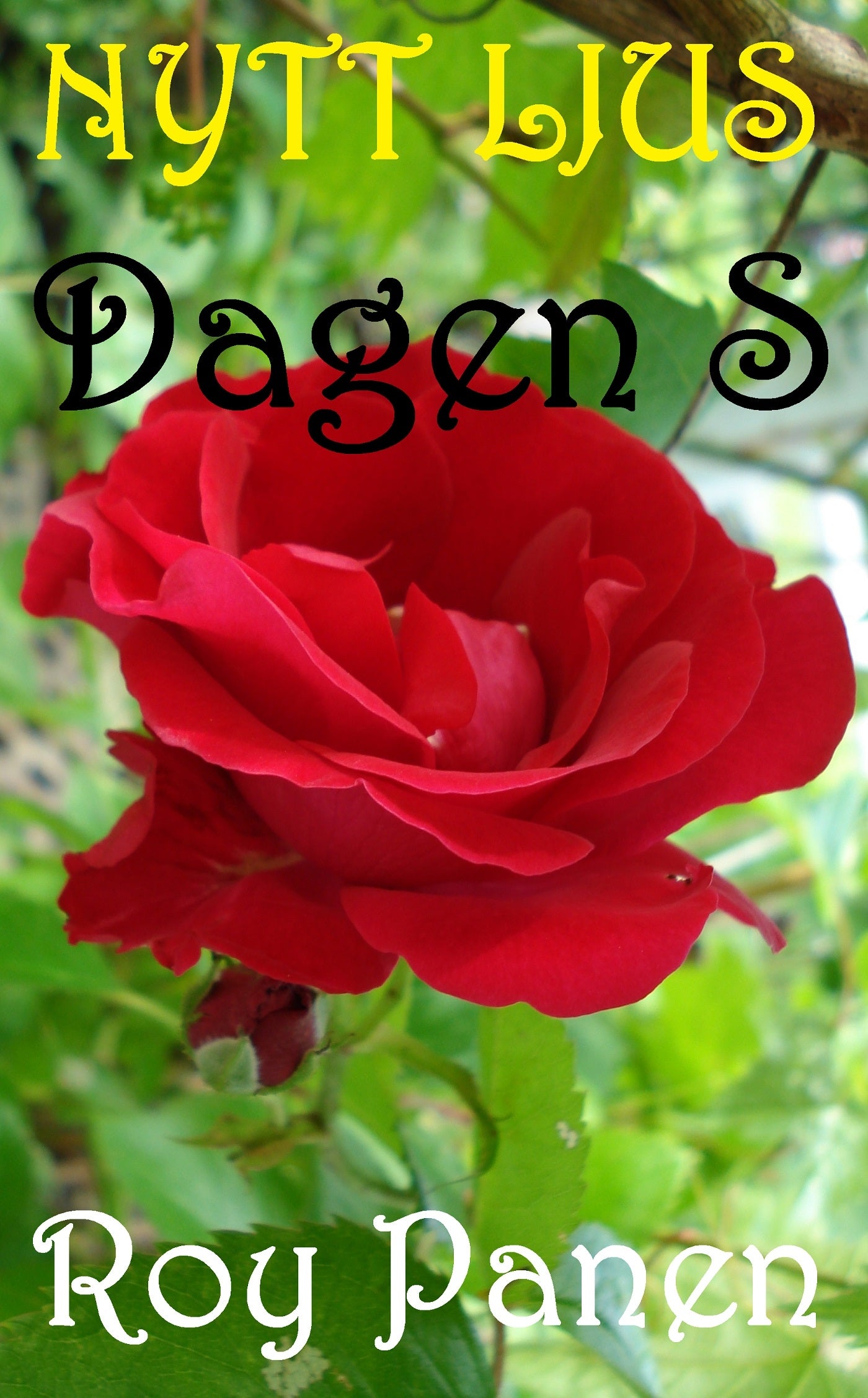 NYTT LJUS Dagen S – E-bok