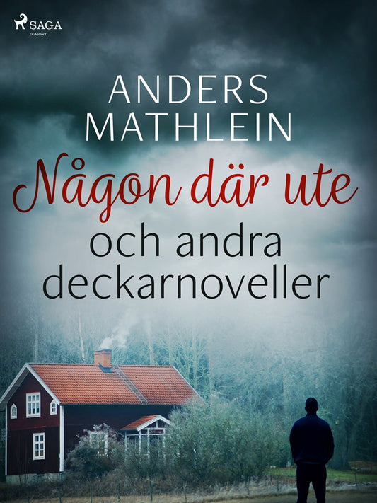 Någon där ute och andra deckarnoveller – E-bok