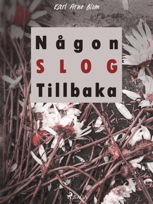 Någon slog tillbaka – E-bok