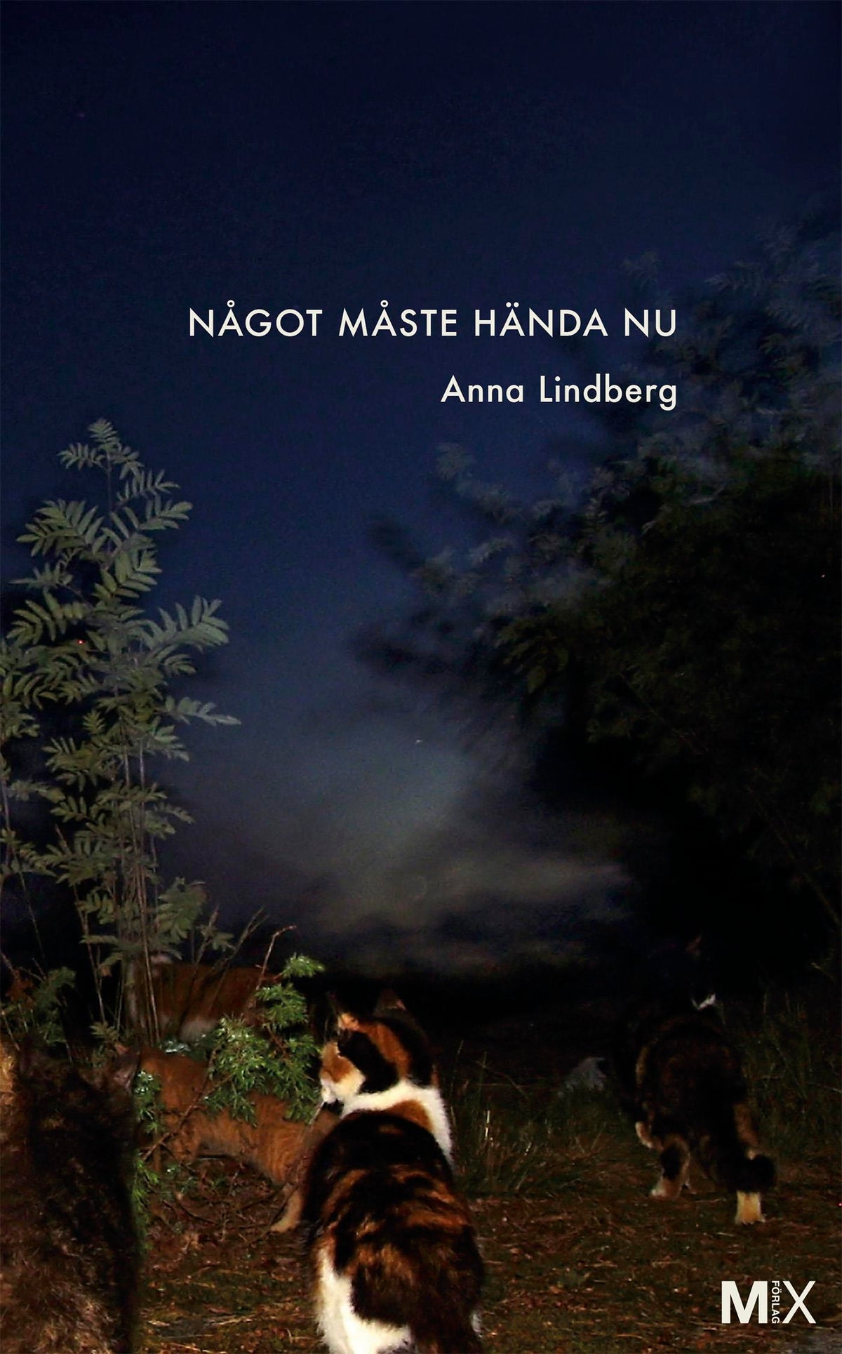 Något måste hända nu – E-bok