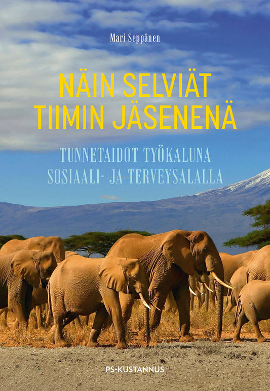 Näin selviät tiimin jäsenenä – E-bok