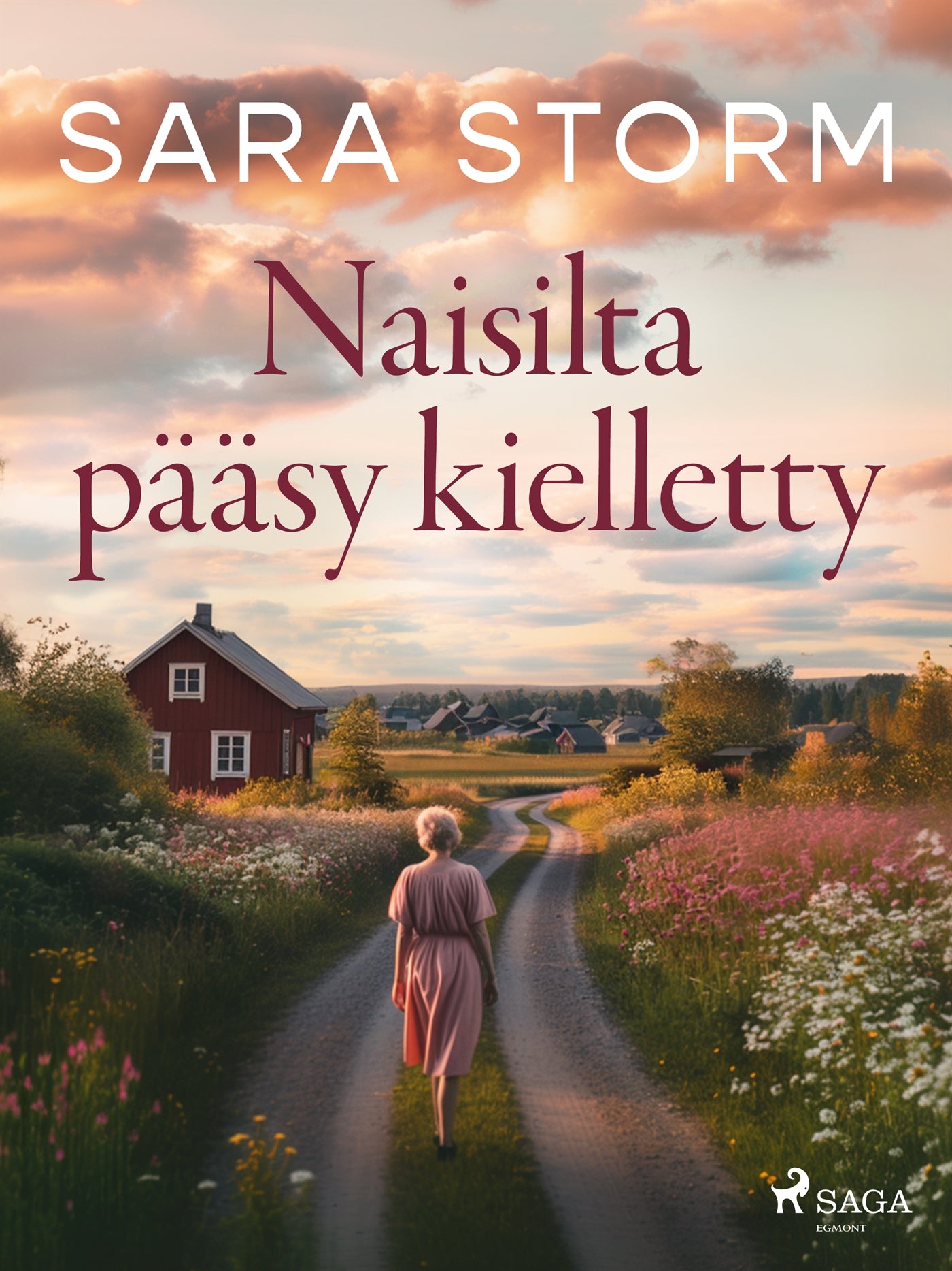 Naisilta pääsy kielletty – E-bok