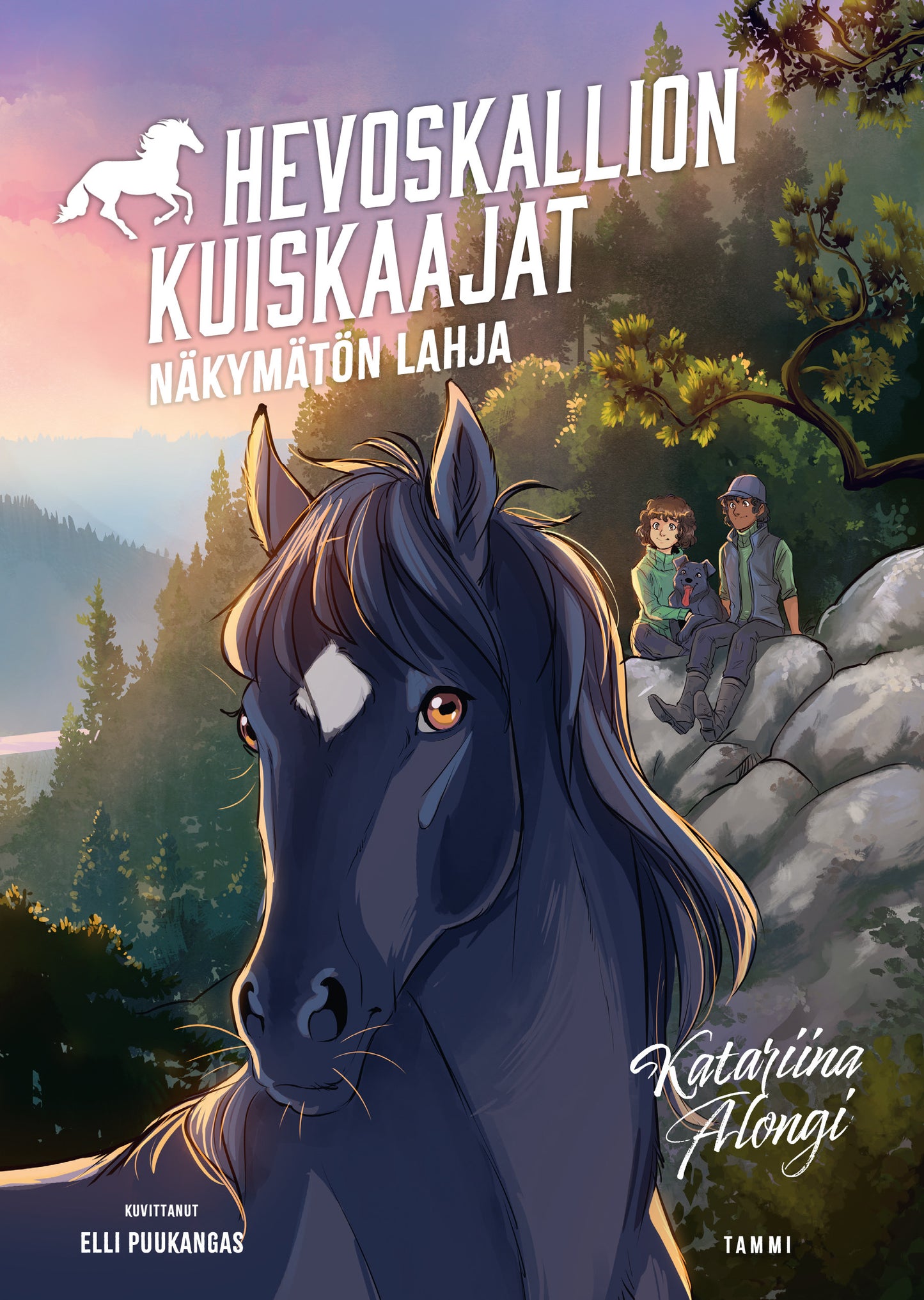 Näkymätön lahja – E-bok