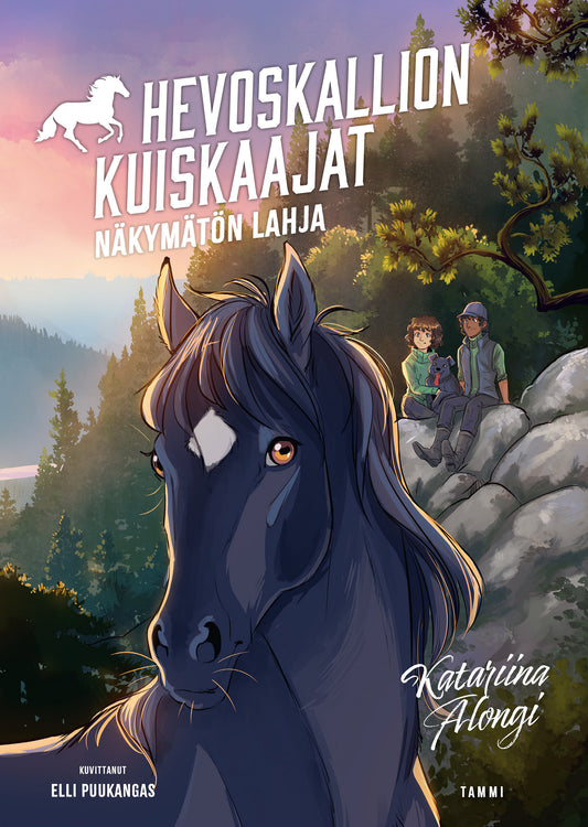 Näkymätön lahja – E-bok