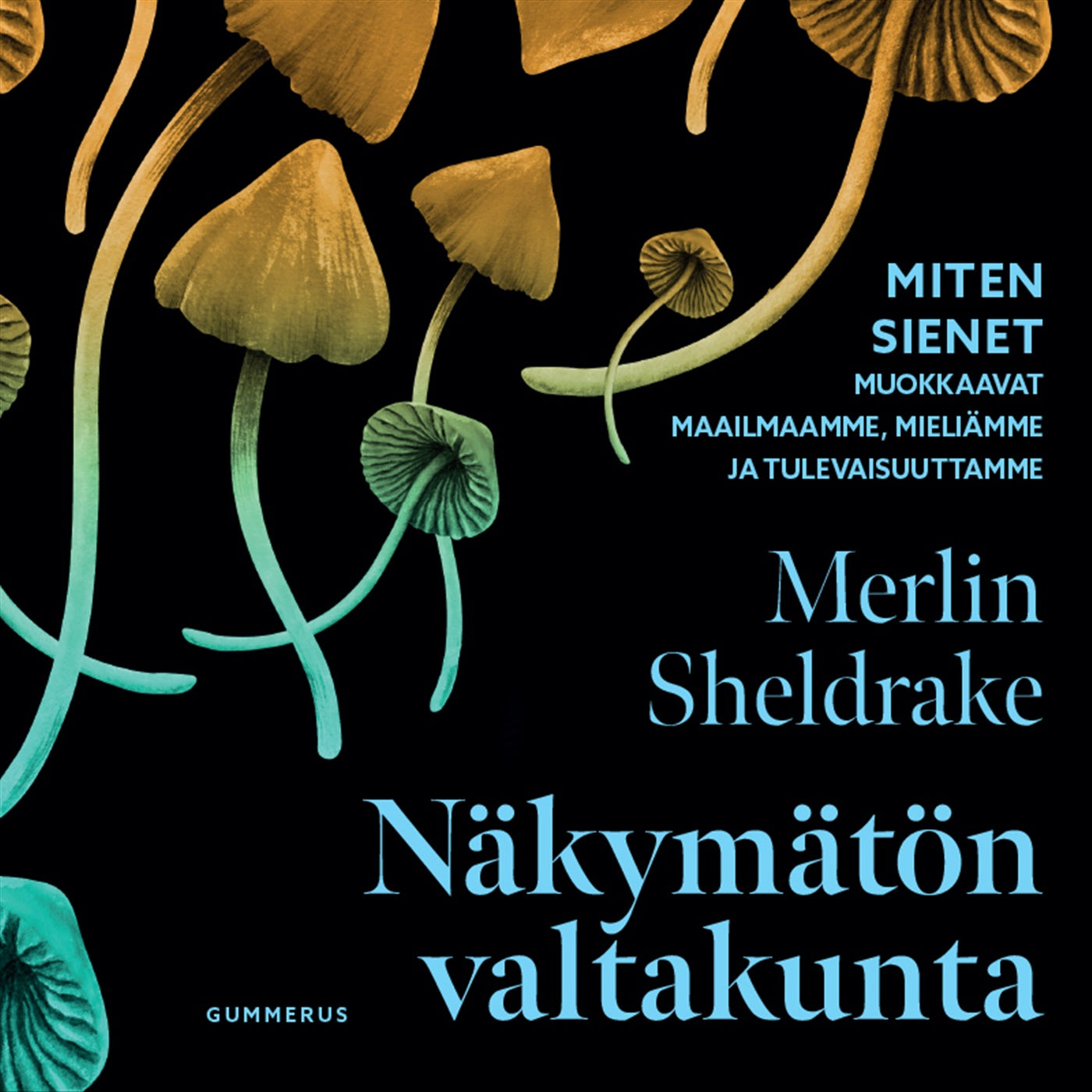 Näkymätön valtakunta – Ljudbok