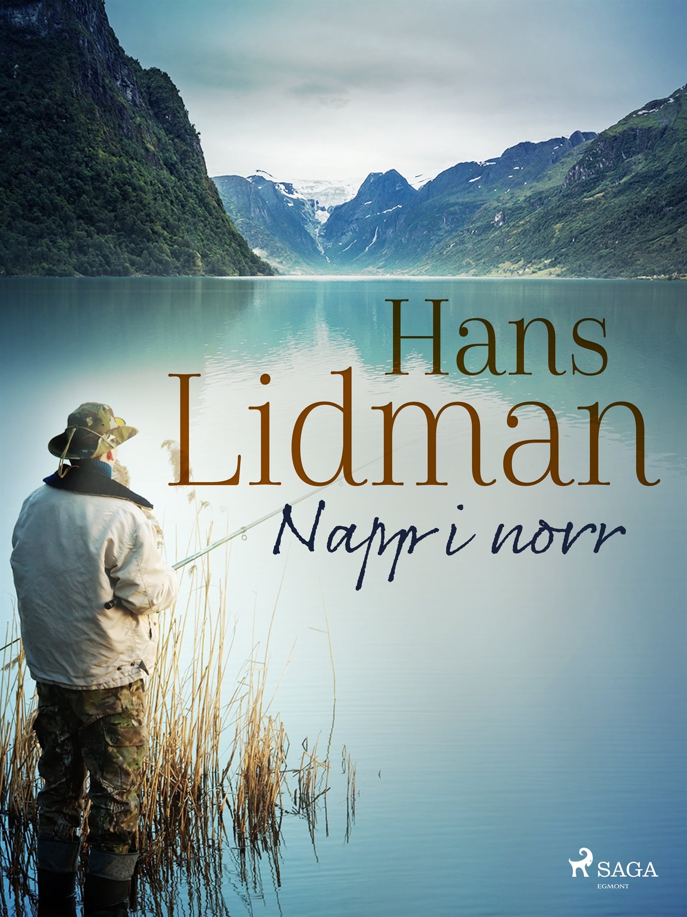 Napp i norr – E-bok