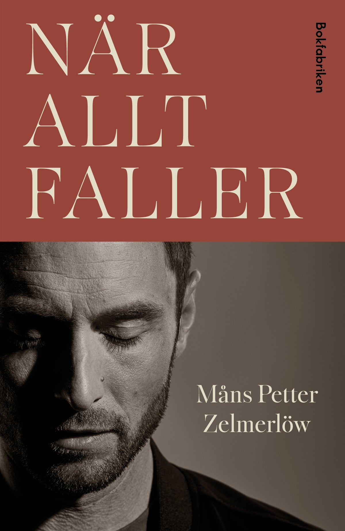 När allt faller – E-bok
