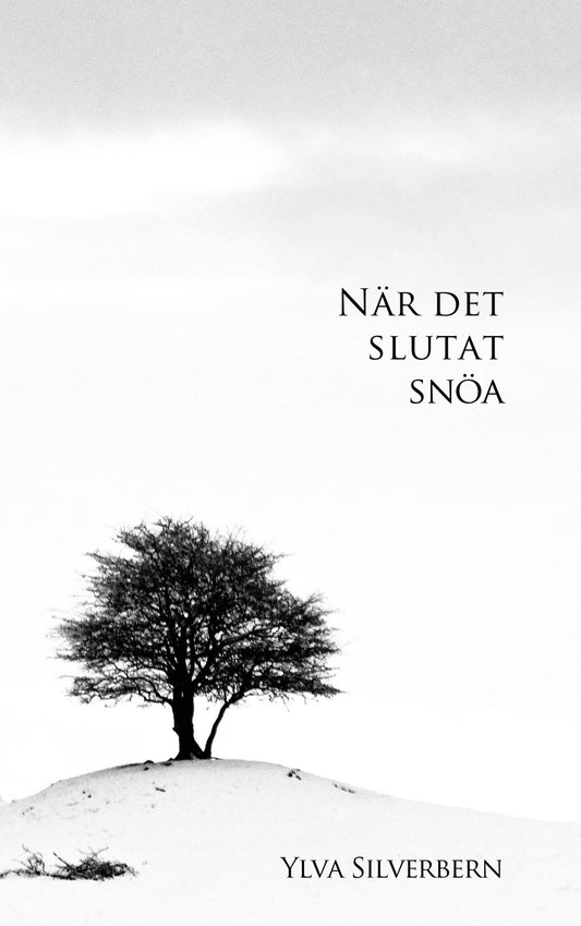 När det slutat snöa – E-bok