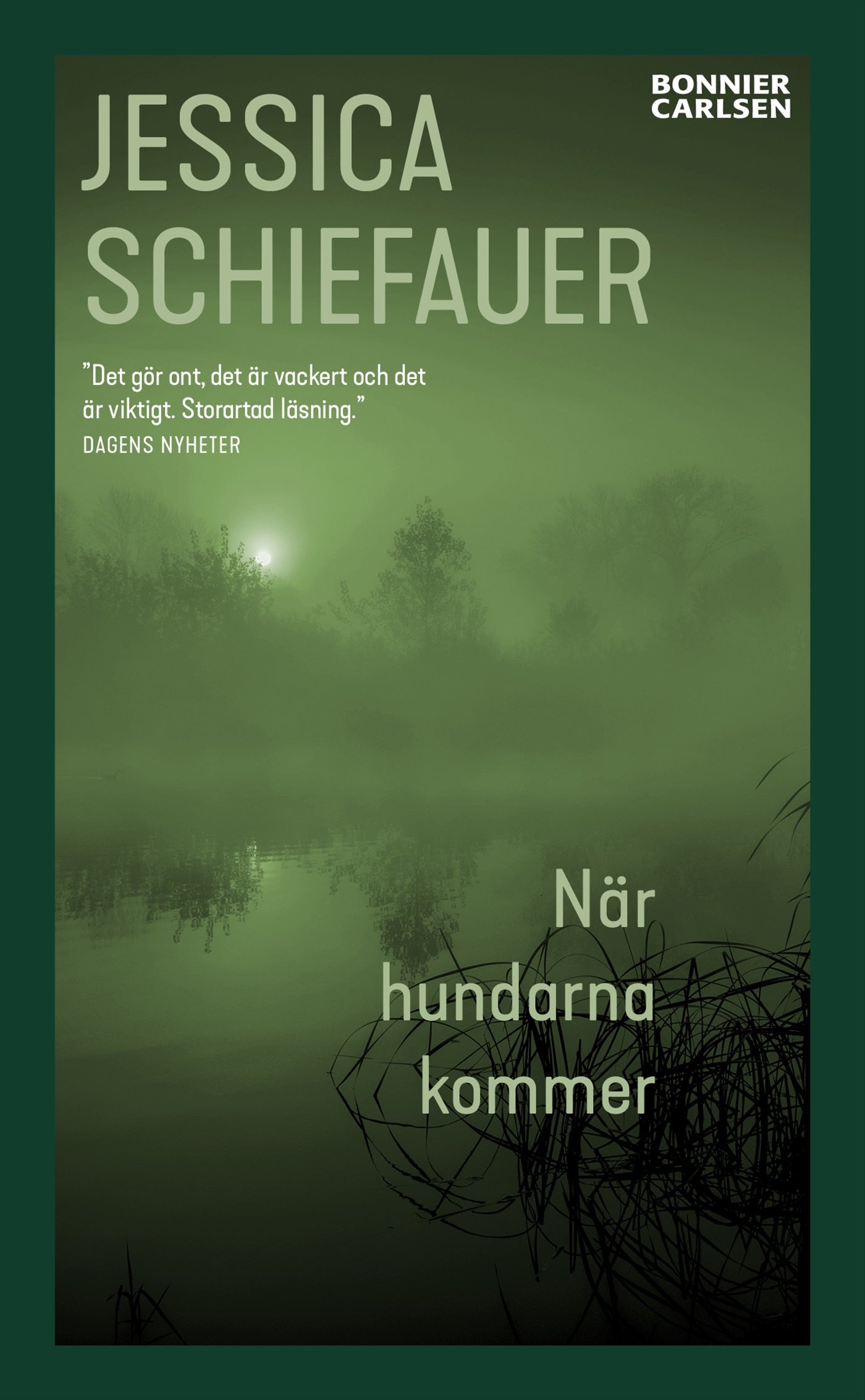 När hundarna kommer – E-bok