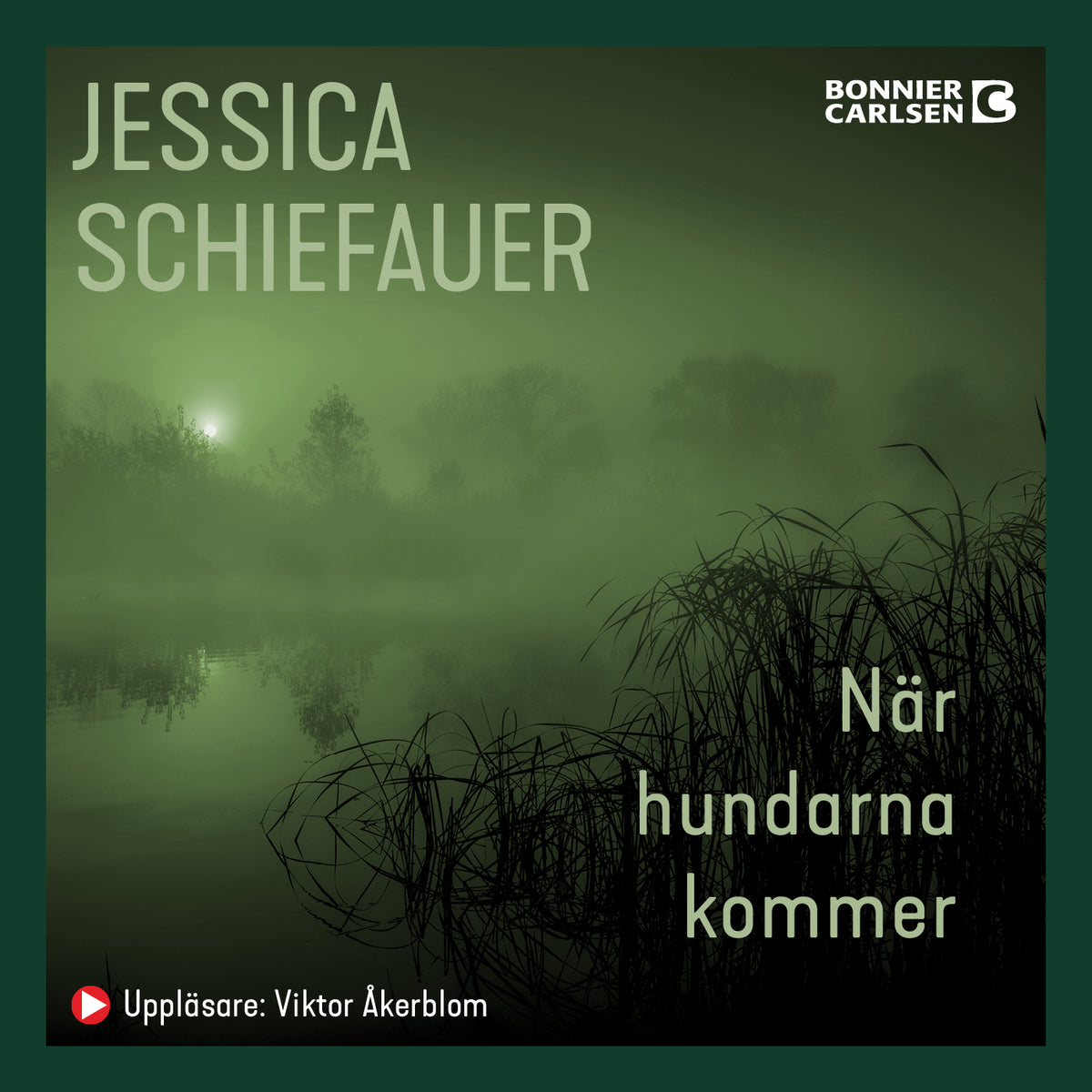 När hundarna kommer – Ljudbok