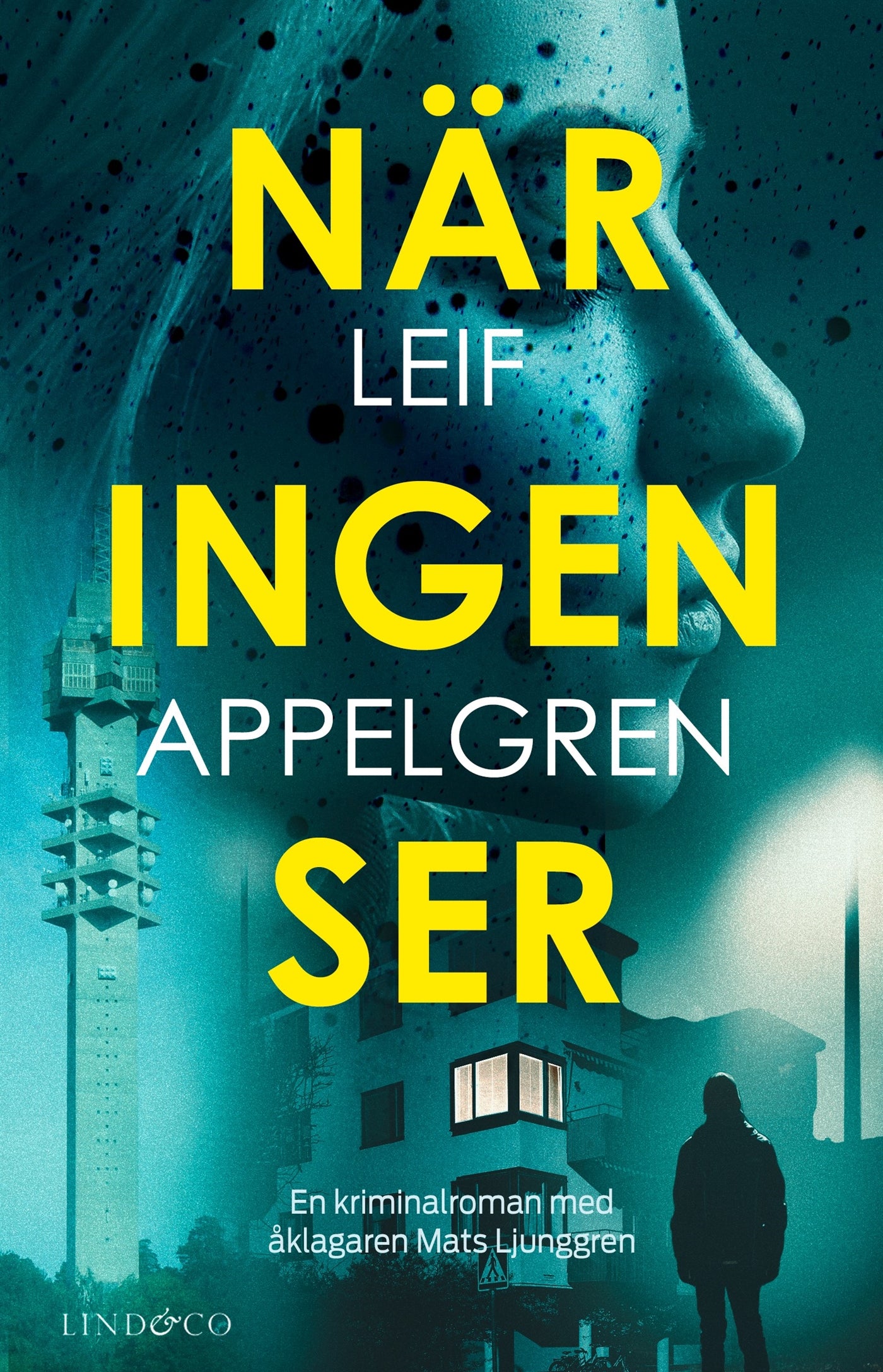 När ingen ser – E-bok