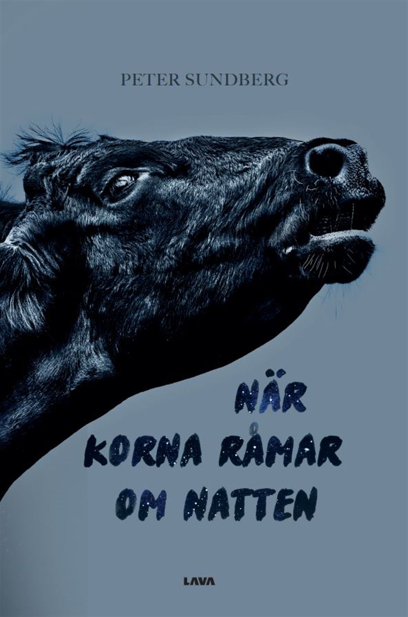 När korna råmar om natten – E-bok