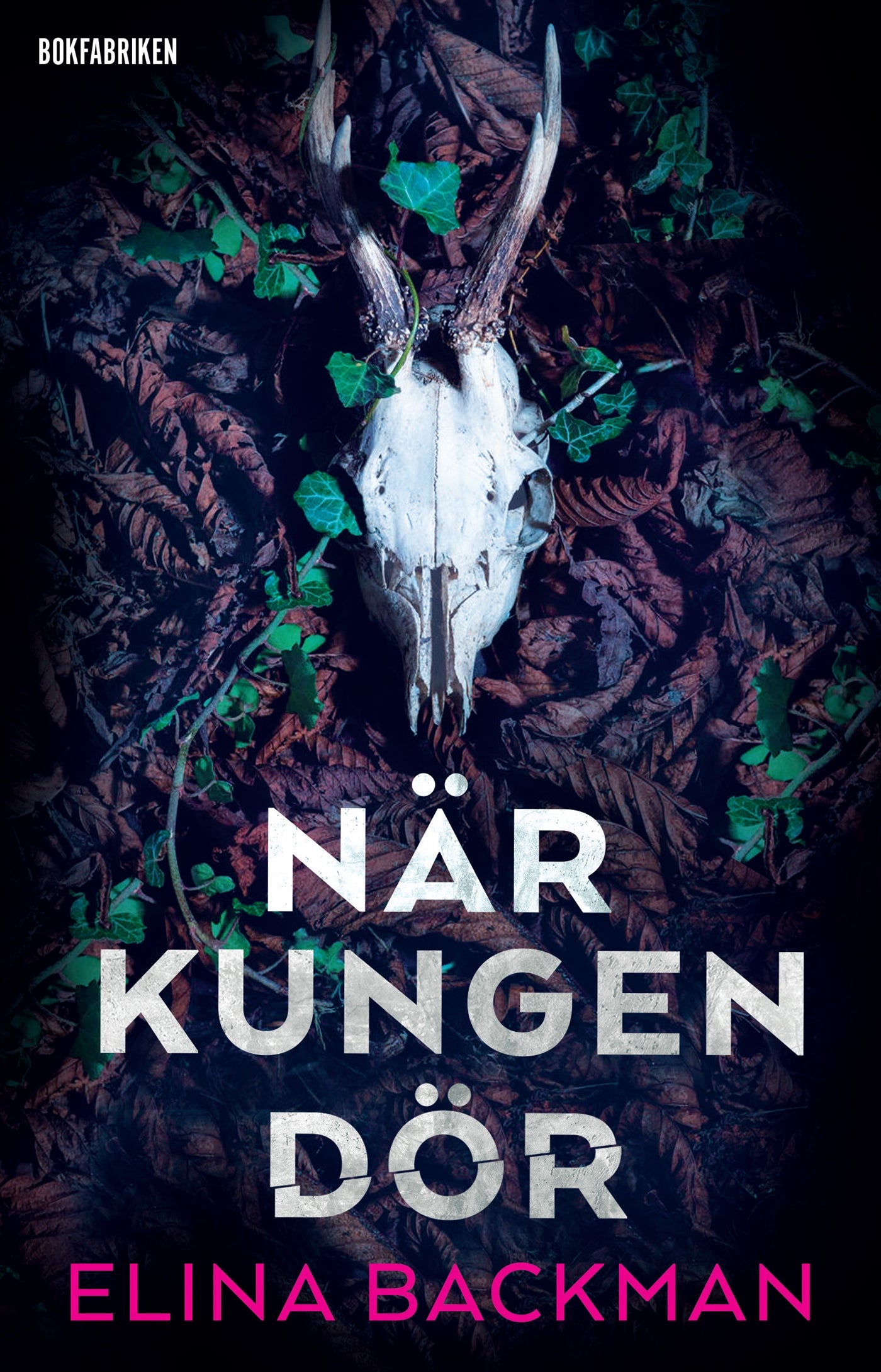 När kungen dör – E-bok