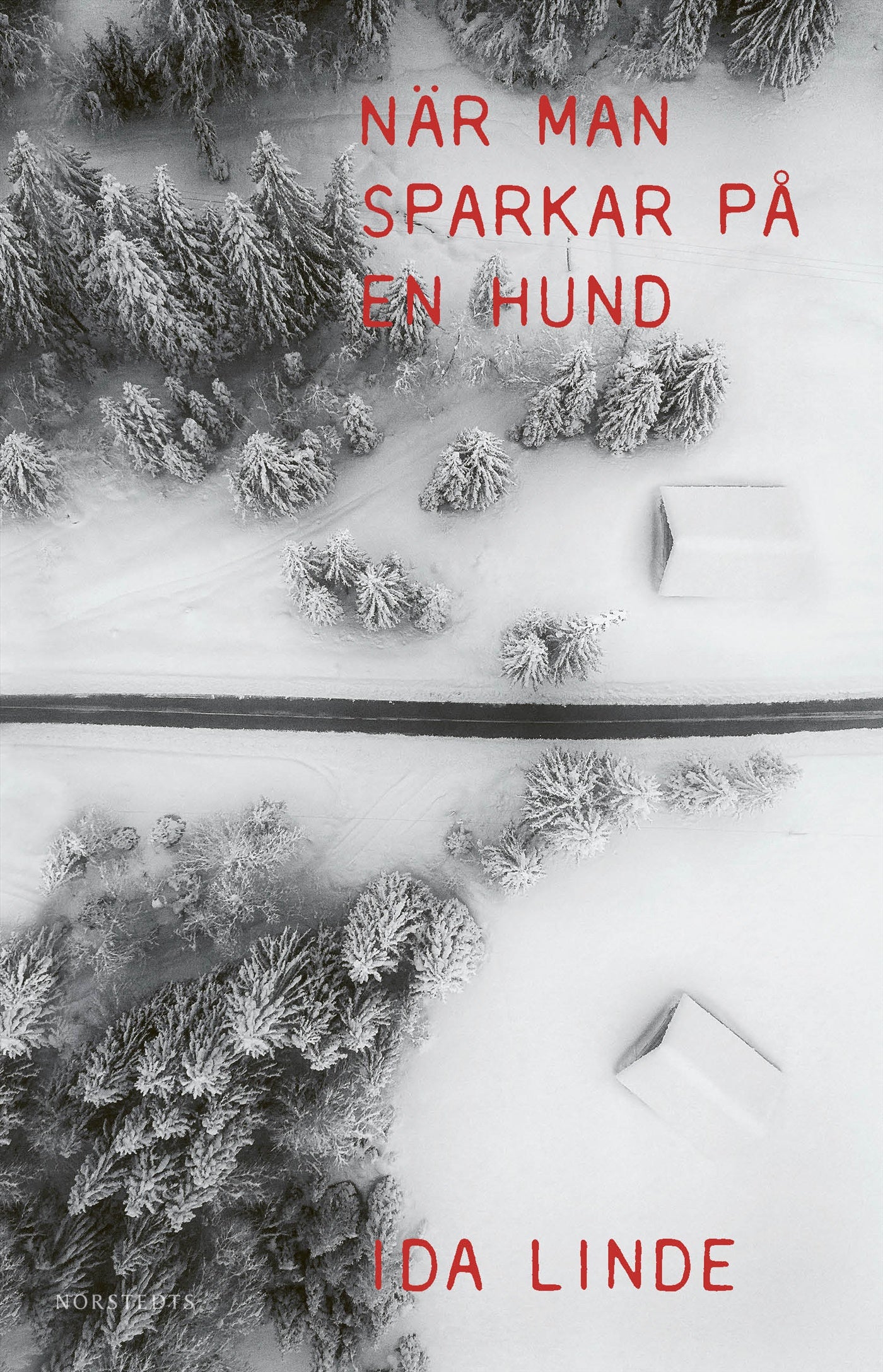 När man sparkar på en hund – E-bok