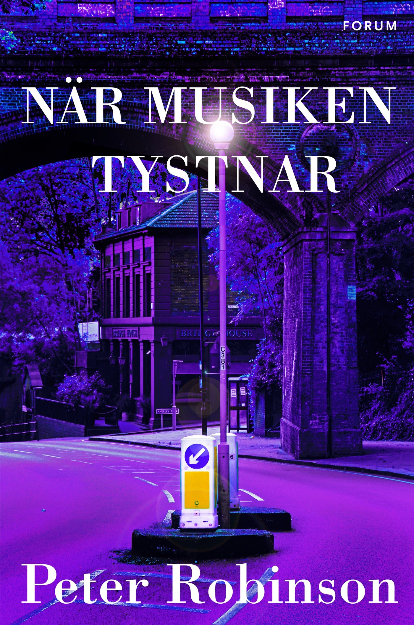 När musiken tystnar – E-bok