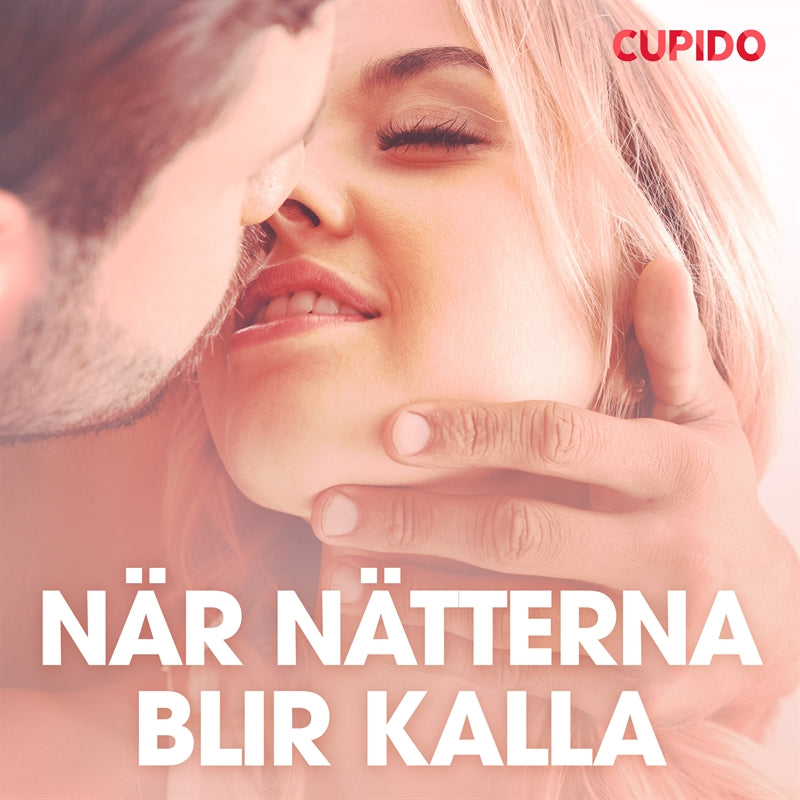 När nätterna blir kalla - erotiska noveller – Ljudbok