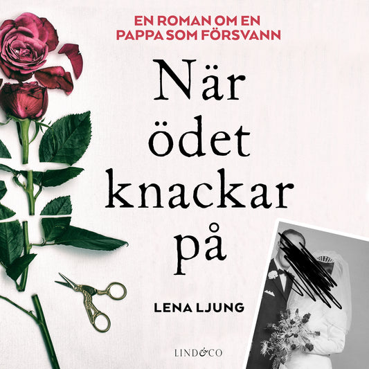 När ödet knackar på – Ljudbok