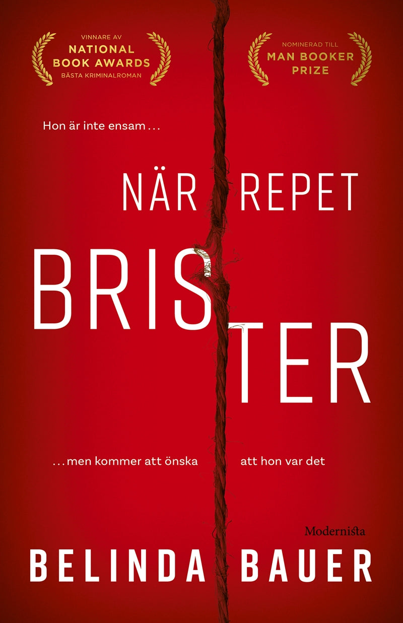När repet brister – E-bok