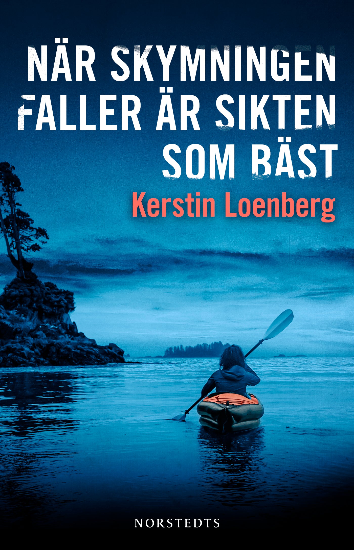 När skymningen faller är sikten som bäst – E-bok