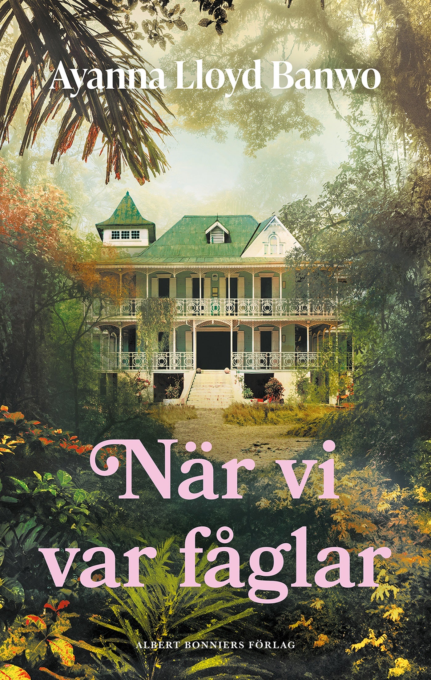 När vi var fåglar – E-bok