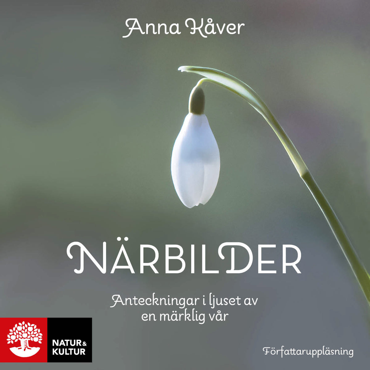 Närbilder : Anteckningar i ljuset av en märklig vår – Ljudbok