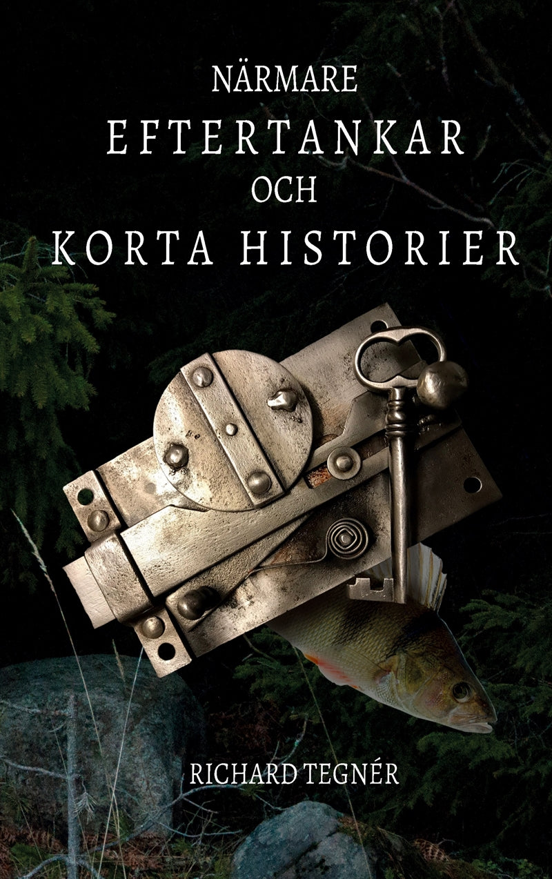 Närmare eftertankar och korta historier – E-bok