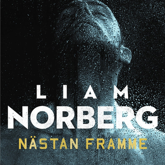 Nästan framme – Ljudbok
