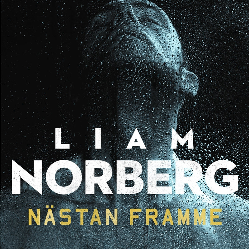 Nästan framme – Ljudbok