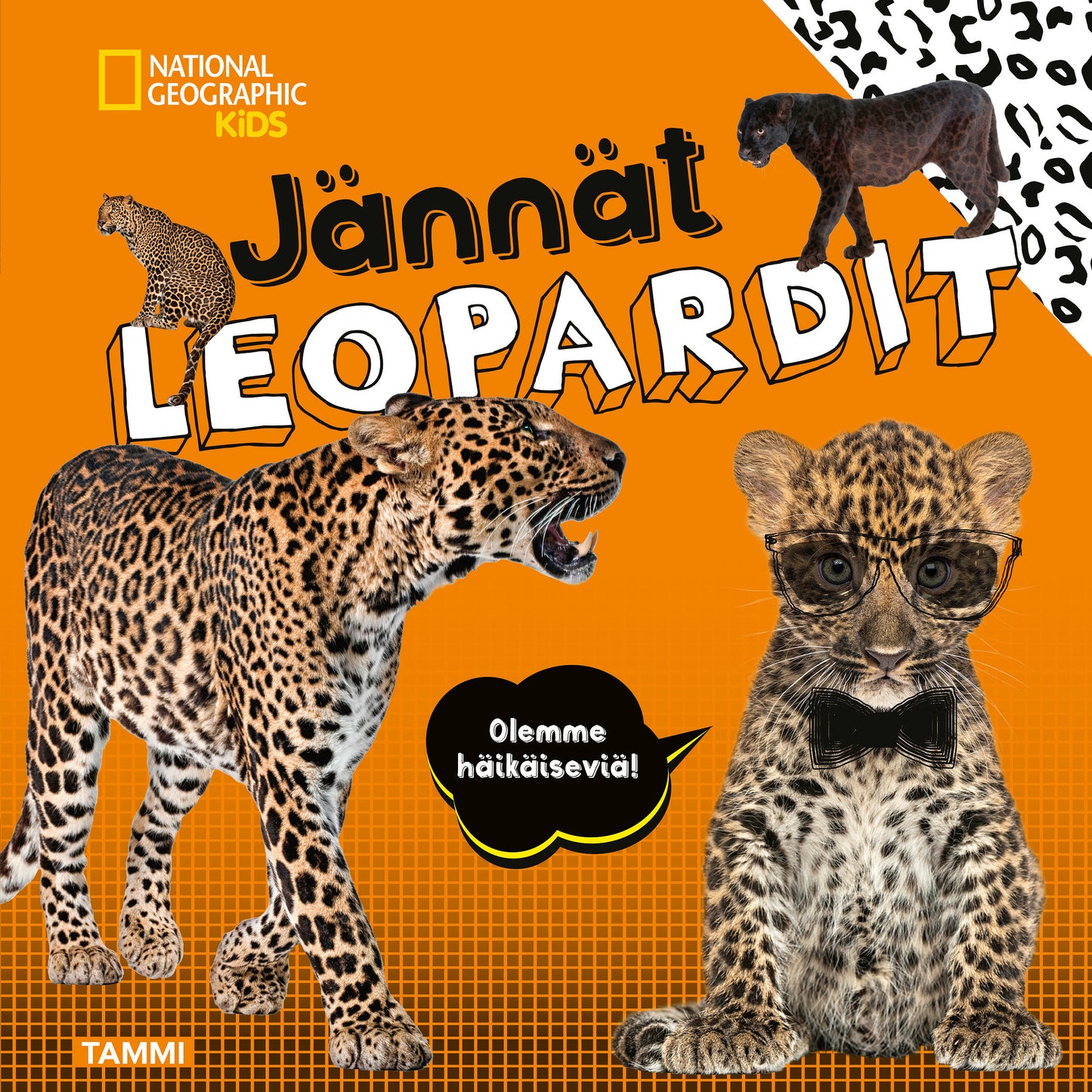 National Geographic. Jännät leopardit – E-bok