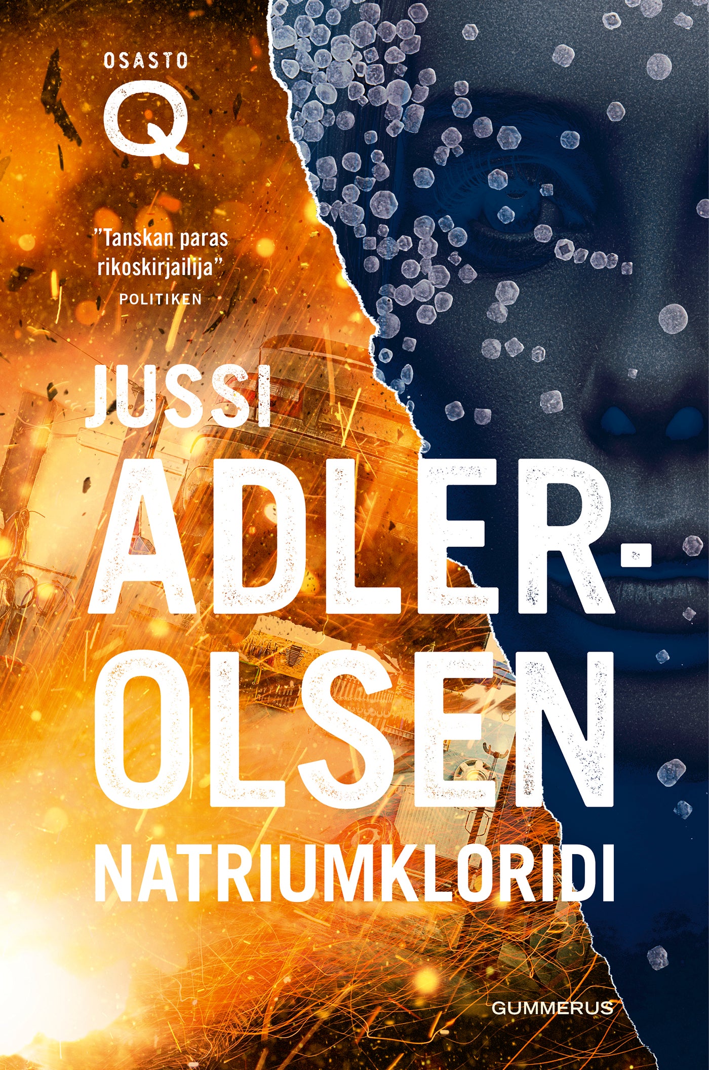 Natriumkloridi – E-bok