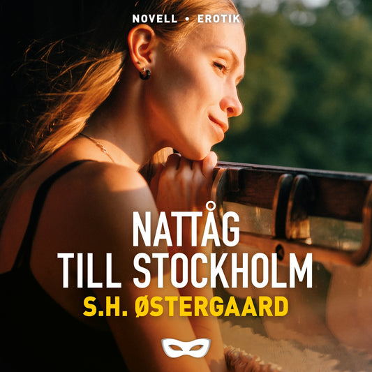 Nattåg till Stockholm – Ljudbok