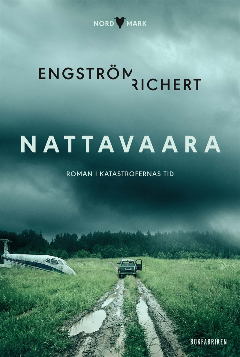 Nattavaara – E-bok