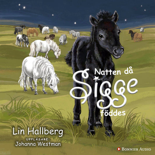 Natten då Sigge föddes  – Ljudbok