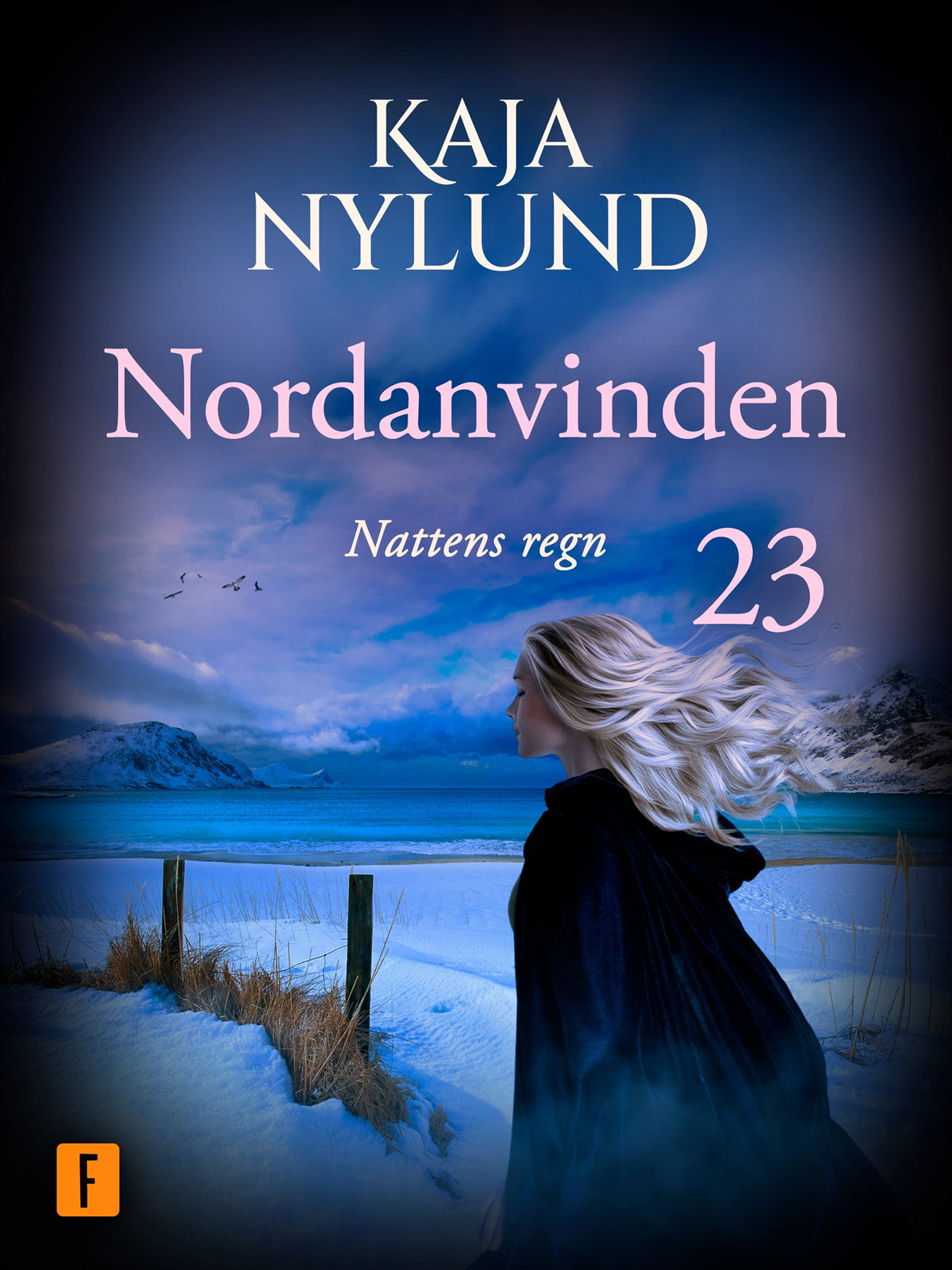 Nattens regn – E-bok