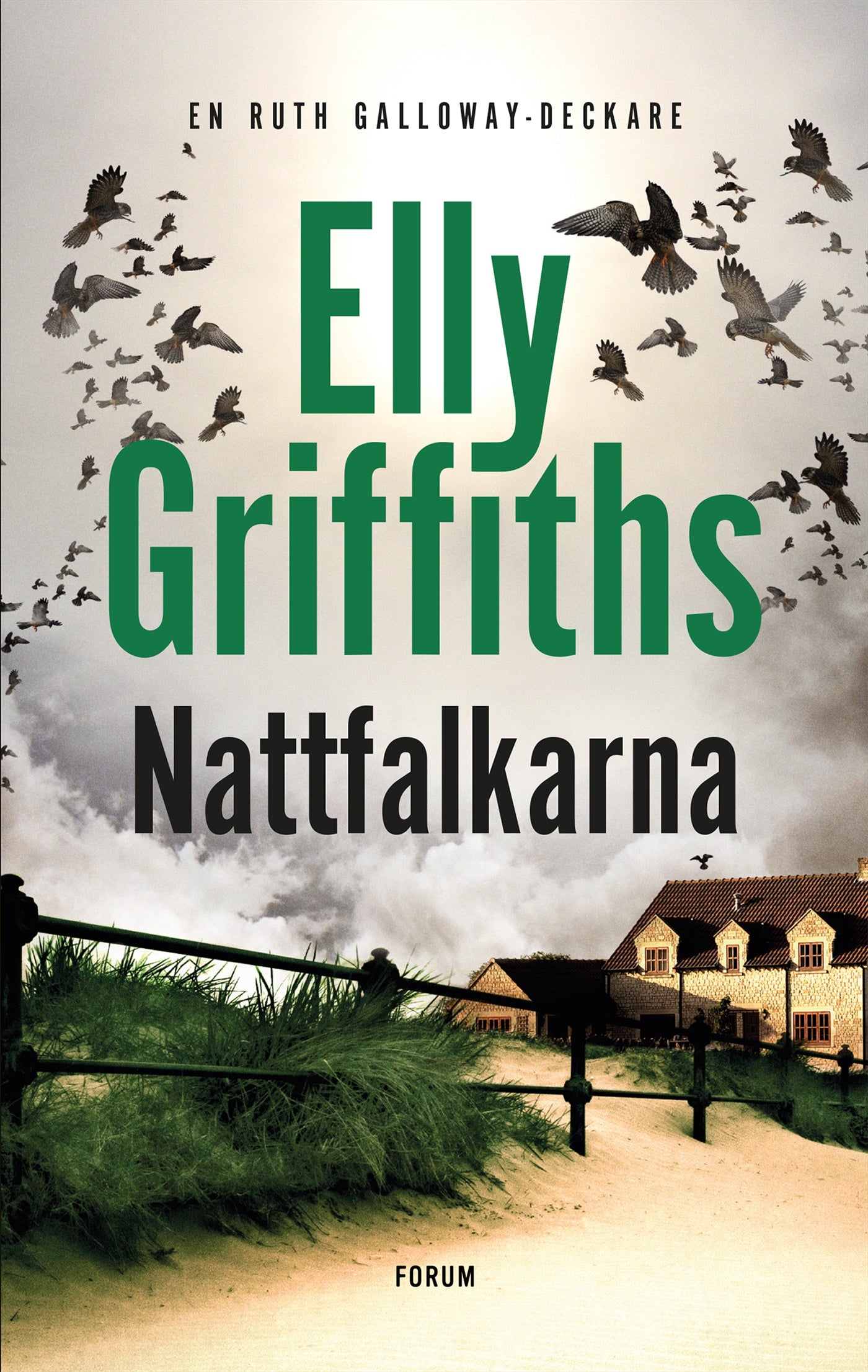 Nattfalkarna – E-bok