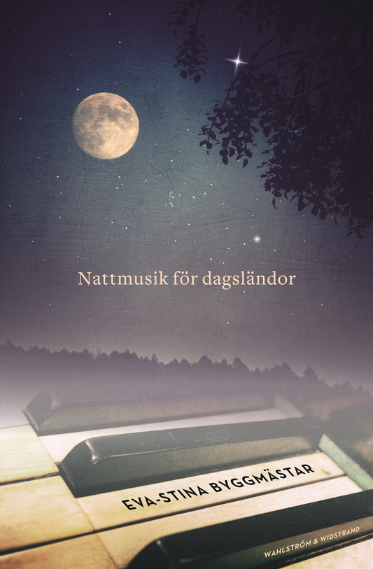 Nattmusik för dagsländor – E-bok