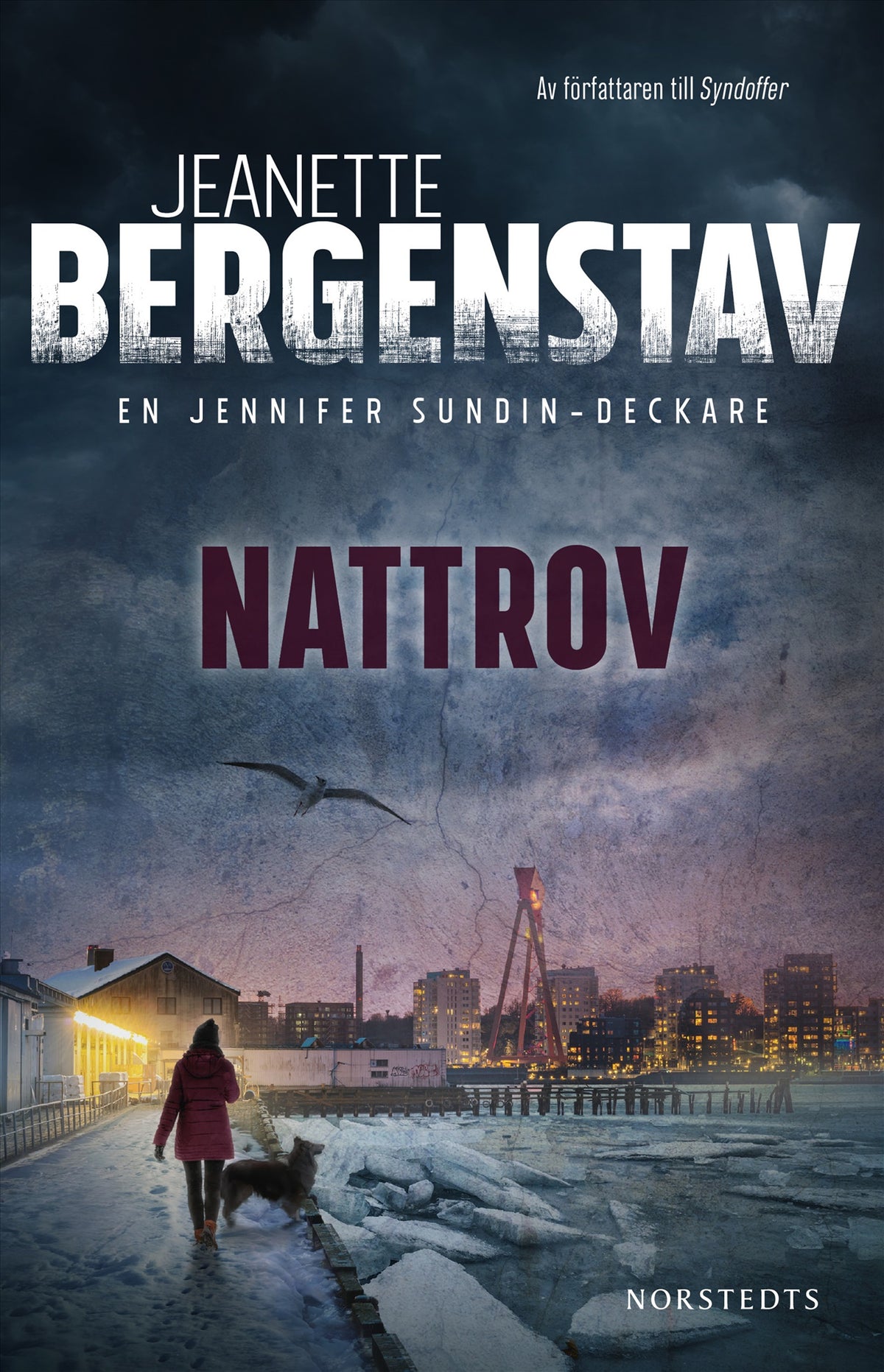 Nattrov – E-bok